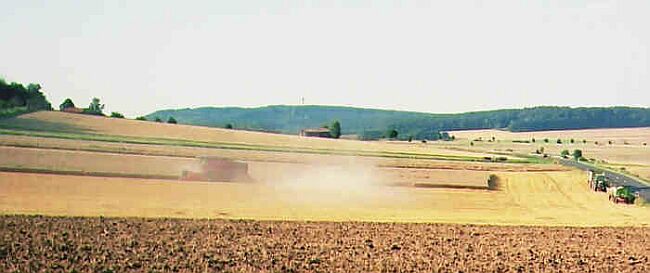 Weizendrusch am 16.08.02 bei Meensen (Krs. Göttingen) mit Gausturm auf dem Hohen Hagen im Hintergrund