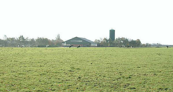 Grünlandhof im